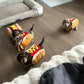 Funny Hot Dog Halloween Costume for Dogs & Cats – Adjustable Pet Outfit