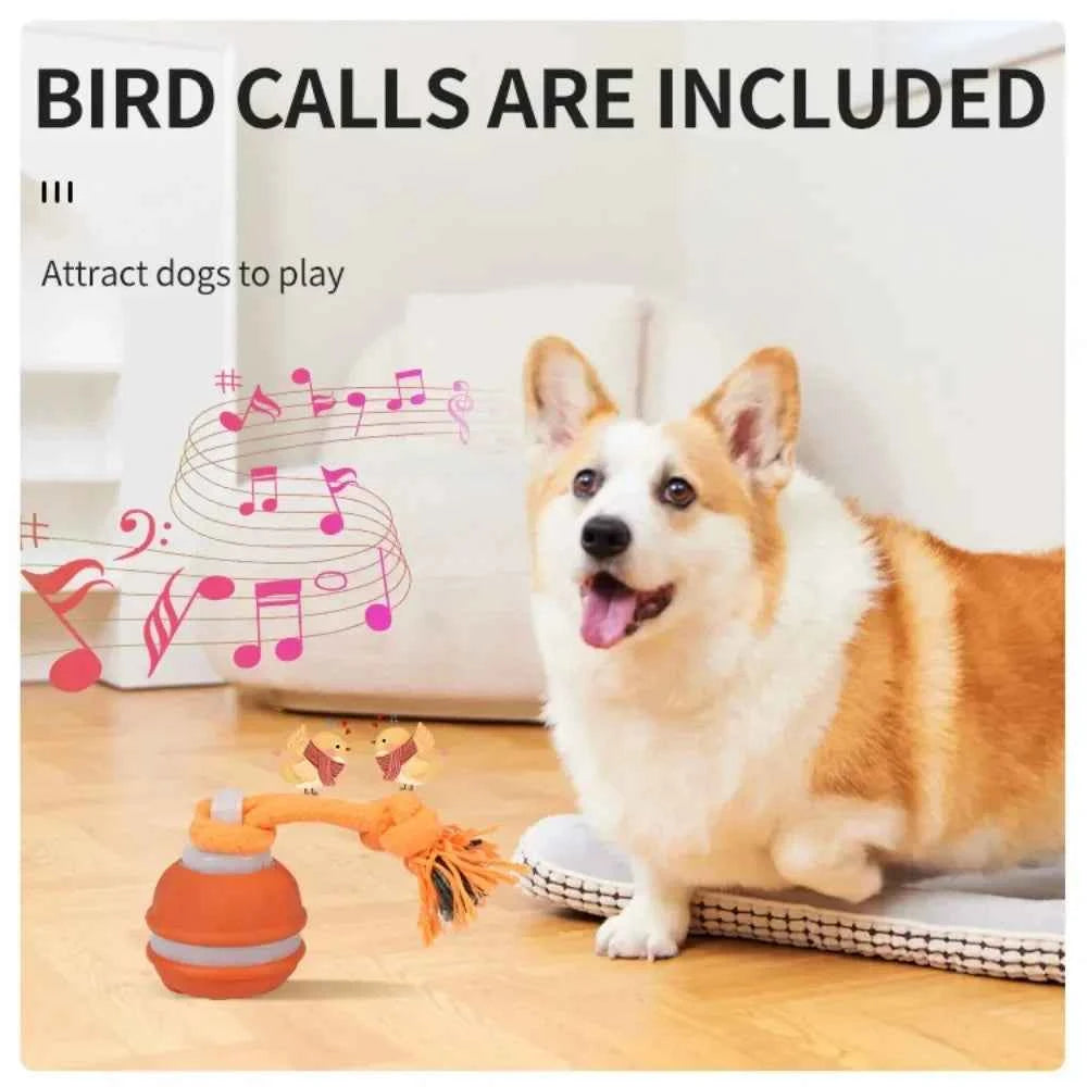 Automatic Interactive Rolling Ball Dog Toy for Smart Active Play