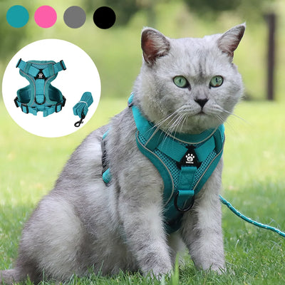 Secure escape proof cat harness with leash for outdoor adventures