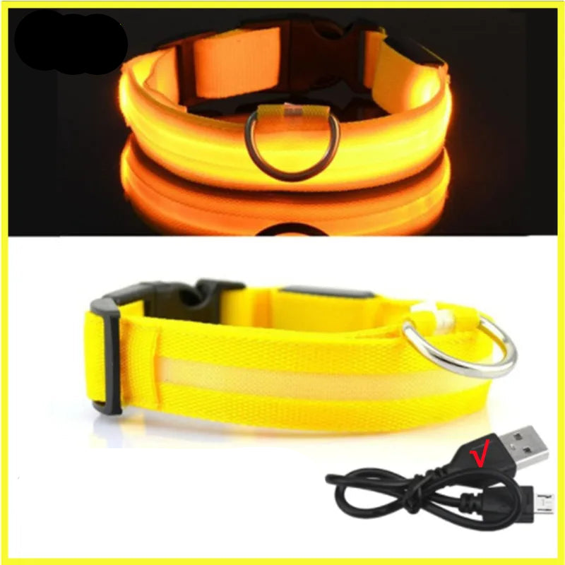 USB Rechargeable Luminous Collar Adjustable Led Glowing Dog Collar for Large Small Dogs Cat Night Light Collar Pet Safety Harnes - WTN Essentials 