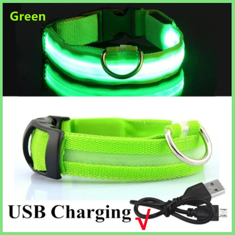 USB Rechargeable Luminous Collar Adjustable Led Glowing Dog Collar for Large Small Dogs Cat Night Light Collar Pet Safety Harnes - WTN Essentials 