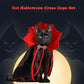 Spooky Halloween Vampire Cat Costume – Cloak & Hat Festival Set