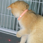 Smart Laser Cat-teasing Collar Rechargeable Auto Infrared Interactive Pet Kitten Toys for Relieve Anxiety - WTN Essentials 