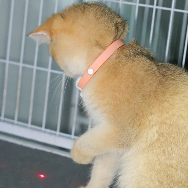 Smart Laser Cat-teasing Collar Rechargeable Auto Infrared Interactive Pet Kitten Toys for Relieve Anxiety - WTN Essentials 
