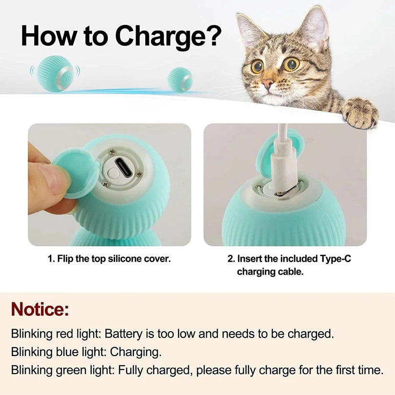 Pet Gravity Cat Smart Interactive Car Toy Automatic Moving Remote Mouse Indoor Kitty Ball Toys Controlled Car for Dogs Playing - WTN Essentials 
