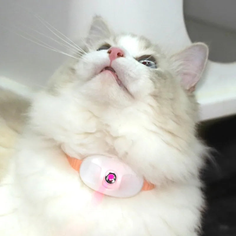 Smart Laser Cat-teasing Collar Rechargeable Auto Infrared Interactive Pet Kitten Toys for Relieve Anxiety - WTN Essentials 