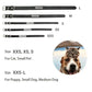 Personalized Dog Collar with Name Engraving – Anti-Lost PU Leather Collar for Dogs and Cats