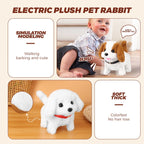 Electric Jumping Lobster Cat Toy for Interactive Indoor Hunting Play