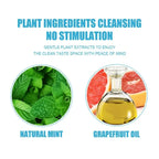 Cat Toothbrush Soft Hair Brush for Cats Mouth Cleaning Cat Brush for Teeth Cleaning Pet Grooming Cats Toothbrush Pet Products - WTN Essentials 