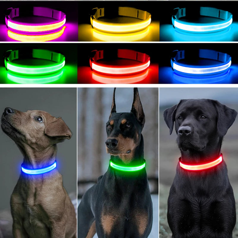 USB Rechargeable Luminous Collar Adjustable Led Glowing Dog Collar for Large Small Dogs Cat Night Light Collar Pet Safety Harnes - WTN Essentials 