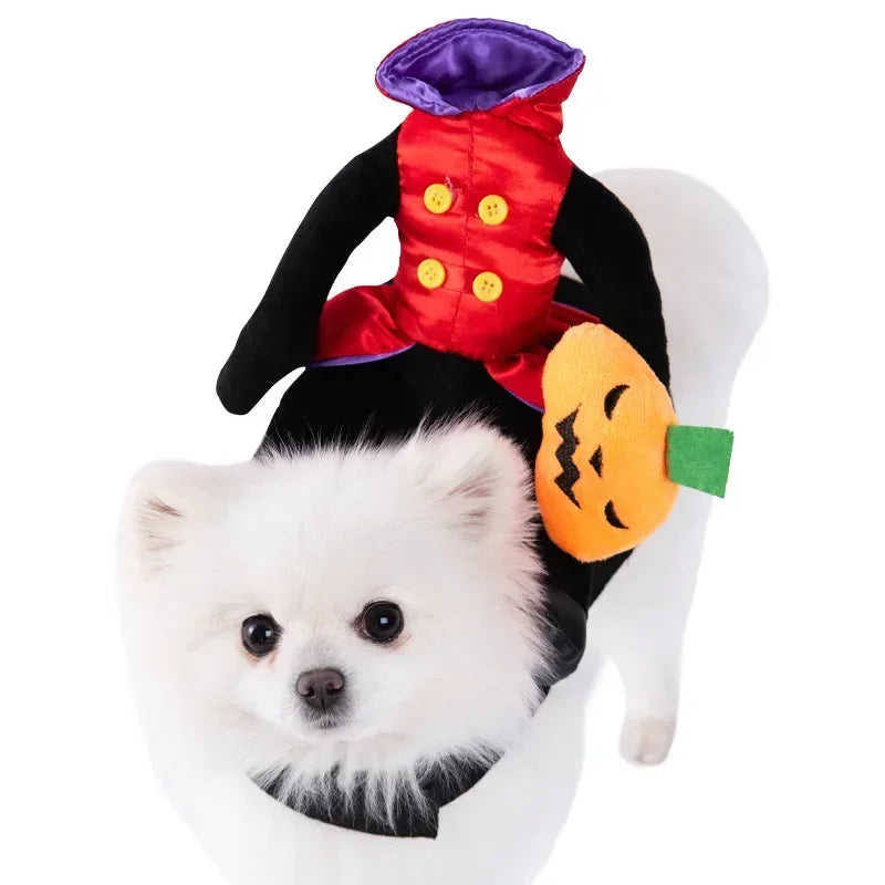 Pet Halloween Horse Rider Costume – Funny Dog & Cat Outfit