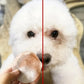 130 Pcs/set of Dog and Cat Cleaning Wipes Pet Eye Wipes Grooming Tear Stain Remover Gentle Non-foaming Wipes Towels - WTN Essentials 