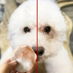 130 Pcs/set of Dog and Cat Cleaning Wipes Pet Eye Wipes Grooming Tear Stain Remover Gentle Non-foaming Wipes Towels - WTN Essentials 