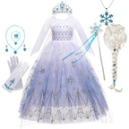 Girls Elsa Frozen Snow Queen Mesh Princess Dress Costume