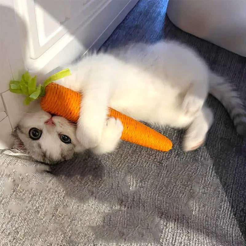 Sound Carrot Cat Toy | Teething & Anti-Bite Cuddle Stick for Cats