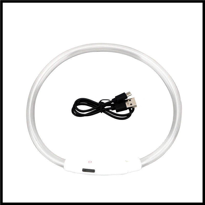 USB Rechargeable Luminous Collar Adjustable Led Glowing Dog Collar for Large Small Dogs Cat Night Light Collar Pet Safety Harnes - WTN Essentials 