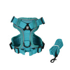 Teal dog harness and leash set on a white background