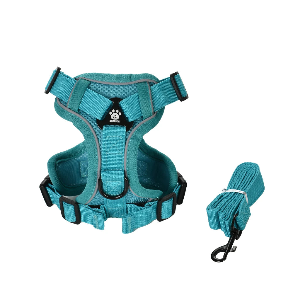 Teal dog harness and leash set on a white background