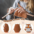 Funny Crochet Positive Inspirational Emotional Support Owl Doll Home Room Decoration Handmade Knitted Owl Desktop Ornament Gift