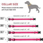 Reflective Dog Collar Strap With Adjustable Safety Nylon Pet Collar Pet Traction Rope Suitable For Small And Medium-Sized Pets - WTN Essentials 