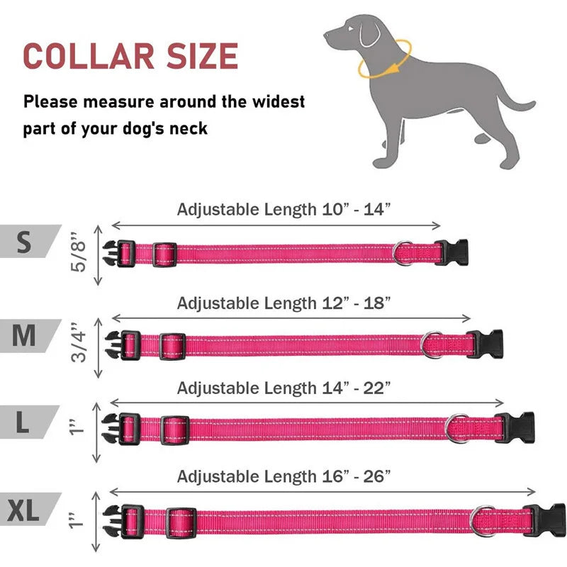 Reflective Dog Collar Strap With Adjustable Safety Nylon Pet Collar Pet Traction Rope Suitable For Small And Medium-Sized Pets - WTN Essentials 