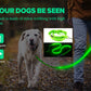 USB Rechargeable Luminous Collar Adjustable Led Glowing Dog Collar for Large Small Dogs Cat Night Light Collar Pet Safety Harnes - WTN Essentials 