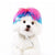 Funny Pet Cosplay Wig – Dog & Cat Costume Hair Hat for Halloween