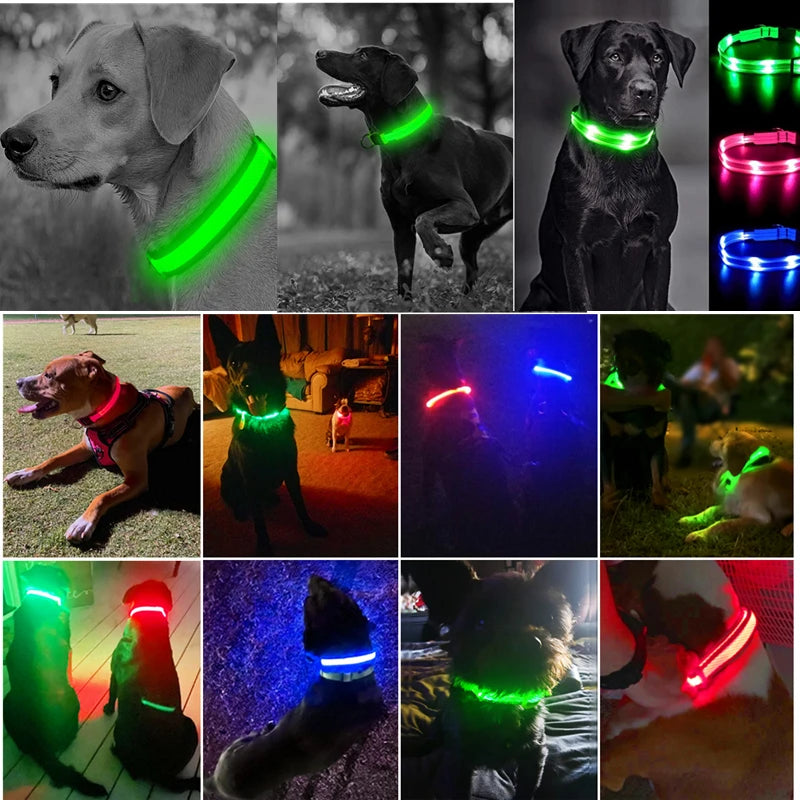 USB Rechargeable Luminous Collar Adjustable Led Glowing Dog Collar for Large Small Dogs Cat Night Light Collar Pet Safety Harnes - WTN Essentials 