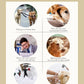 Pet wash free cleaning gloves cat and dog bathing deodorization dry cleaning wet wipes for puppies and kittens 6 pieces - WTN Essentials 