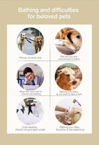 Pet wash free cleaning gloves cat and dog bathing deodorization dry cleaning wet wipes for puppies and kittens 6 pieces - WTN Essentials 