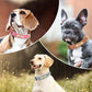 Personalized Dog Collar Custom Engraved PU Leather Dog Collars Free Engraving ID Tag Nameplate For Small Medium Large Dogs - WTN Essentials 