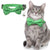 Adjustable Cat Bow Tie Collar – Festive Halloween Design
