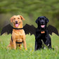 Bat Halloween Costume for Cats & Dogs
