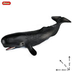 Oenux Ocean Animals Action Figures Sealife Shark Whare Megalodon Model Figurines PVC Home Decoration Kid Cognitive Education Toy