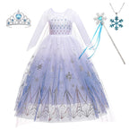 Girls Elsa Frozen Snow Queen Mesh Princess Dress Costume