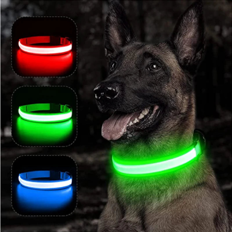 USB Rechargeable Luminous Collar Adjustable Led Glowing Dog Collar for Large Small Dogs Cat Night Light Collar Pet Safety Harnes - WTN Essentials 