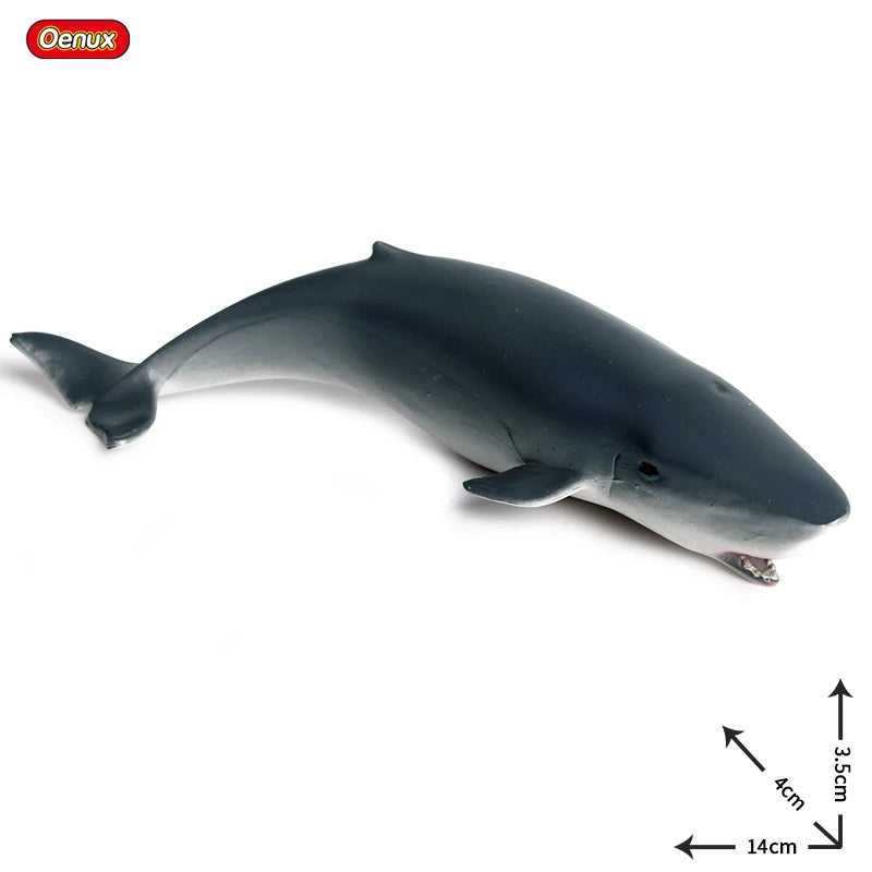 Oenux Ocean Animals Action Figures Sealife Shark Whare Megalodon Model Figurines PVC Home Decoration Kid Cognitive Education Toy