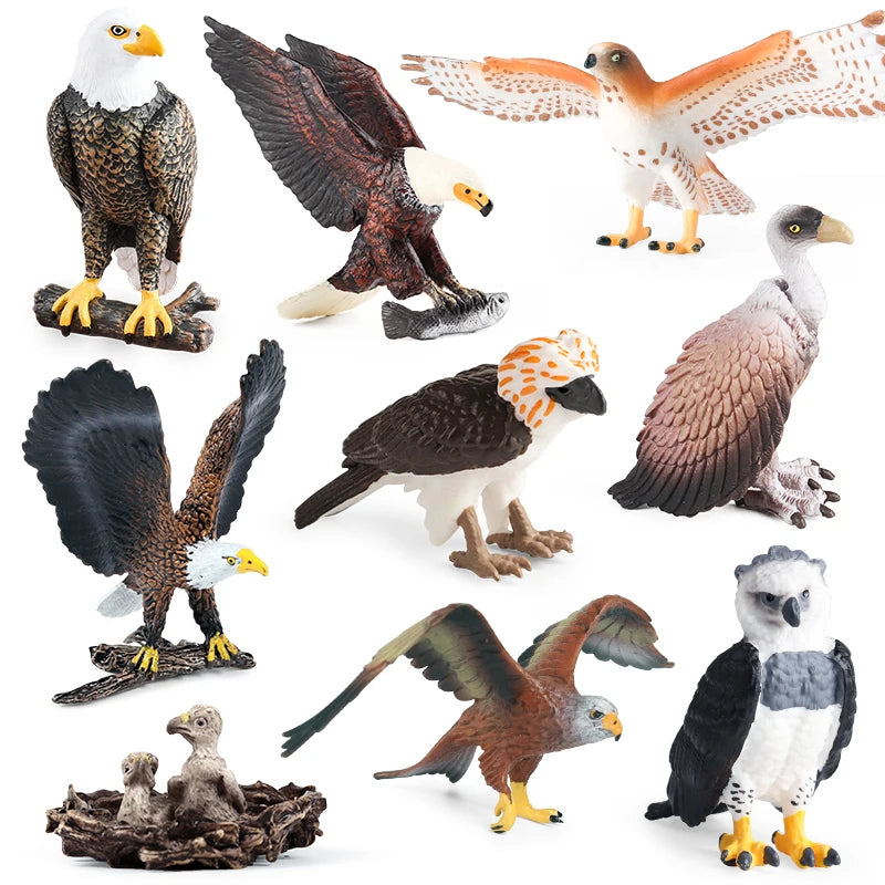 Oenux Wild Bird Animals Forest Night Eagle Condor Figurines PVC Action Figure Garden Decoration Education Miniature Toy Kid Gift