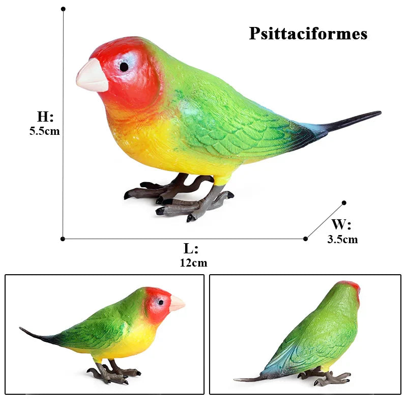 Oenux Bird Forest Animal Parrot Macaw Cockatiel Cockatoo Agapornis Puffin Model Solid PVC Garden Decoration Education Kids Toy