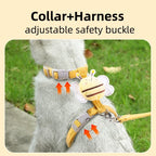 Dog collar and harness with adjustable safety buckle on a grassy background