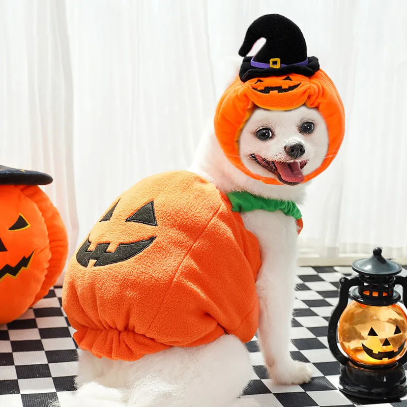 Halloween & Christmas Transforming Pet Costume – Funny Dog & Cat Outfit