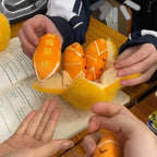 Kawaii Peelable Orange Segments Fruit Plush Toy Stuffed Soft Simulation Food Keychain Backpack Pendant Cartoon Toy Doll Kid Gift