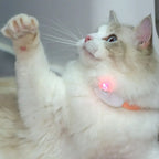 Smart Laser Cat-teasing Collar Rechargeable Auto Infrared Interactive Pet Kitten Toys for Relieve Anxiety - WTN Essentials 
