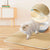Pet Cat Litter Mat Waterproof Double Layer Cat Litter Trapping Pet Litter Box Mat Clean Pad Products For Cats Accessories - WTN Essentials 