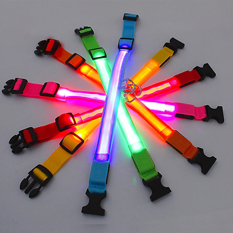 USB Rechargeable Luminous Collar Adjustable Led Glowing Dog Collar for Large Small Dogs Cat Night Light Collar Pet Safety Harnes - WTN Essentials 