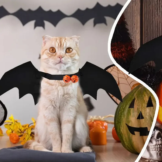 Bat Halloween Costume for Cats & Dogs