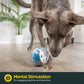 IQ Treat Ball Dog Food Dispenser & Interactive Toy