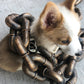 Funny Plastic Simulation Chain Dog Leash – Halloween Pet Prop