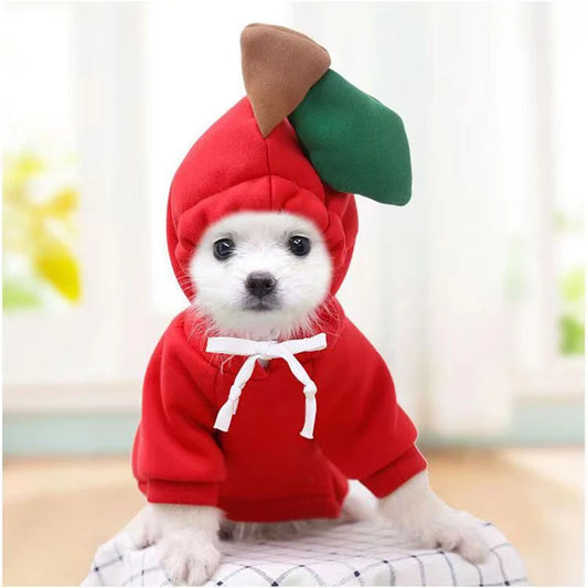 Cute Fruit Dog Hoodie – Funny Pet Costume for Cats & Puppies