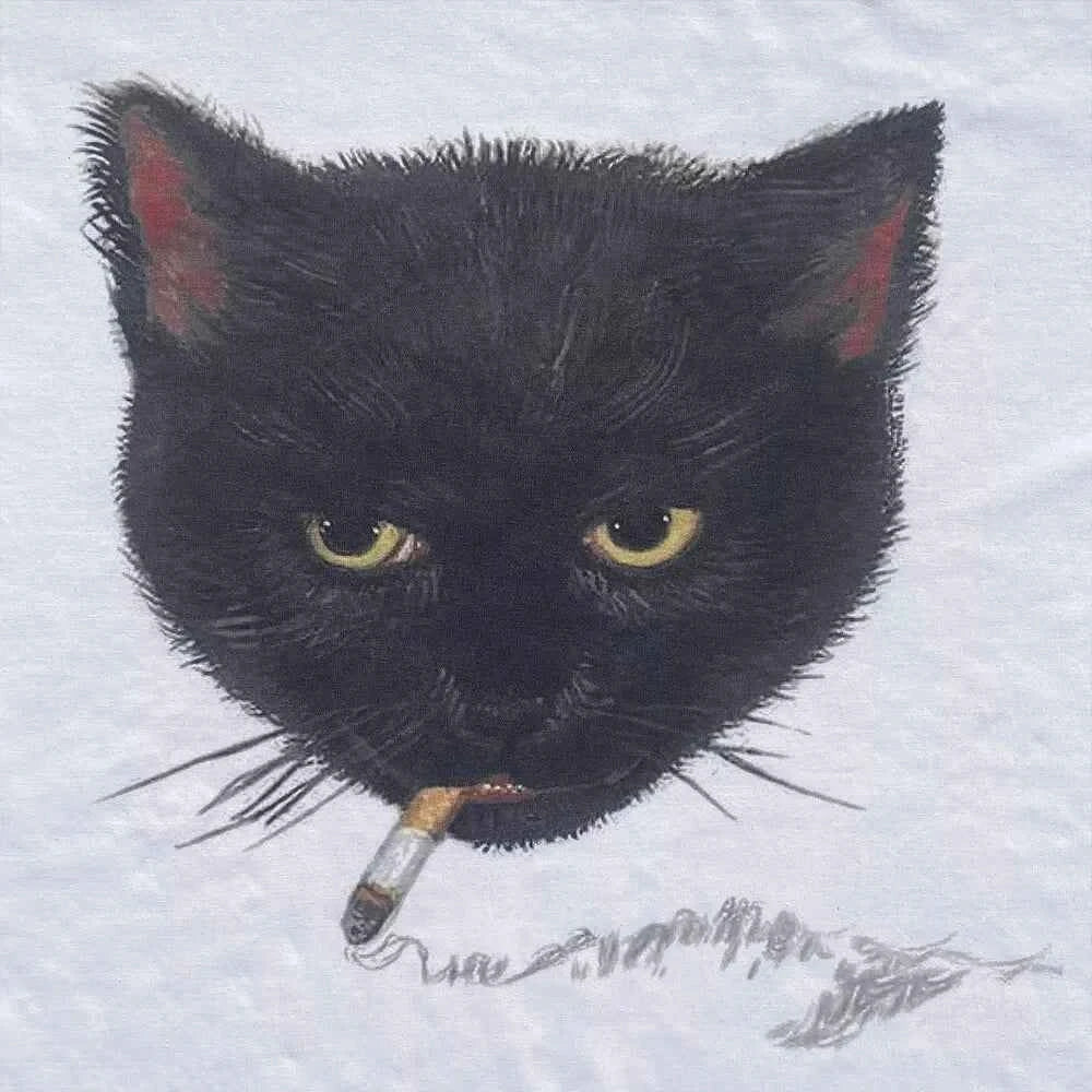 Y2k Wrinkled Cat Graphic Print Punk 90s Grunge Retro Hip Hop Style White Top T-shirt Emo Aesthetic Clothes Harajuku Y2K Top